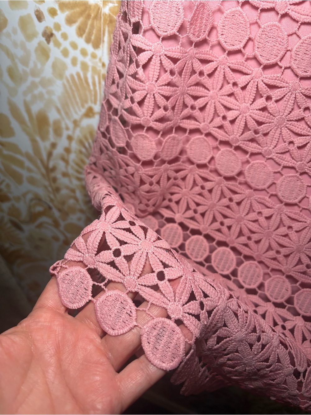 Sandra Darren Dusty Rose Lace Dress | Elegant Cocktail Wedding Guest Shift Dress - Picture 8 of 11
